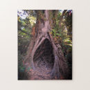 Search for meditation puzzles Nature