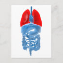 Search for lunge postcards Human