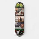 Search for cat skateboards Dog