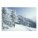 Search for snow covered trees posters North america