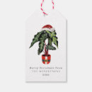 Search for plant tags Houseplant
