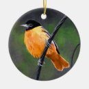 Search for oriole christmas tree decorations Baltimore