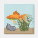 Search for aquarium magnets Orange