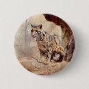 Search for your picture badges Cat