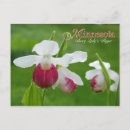 Search for slipper postcards Wildflower