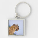 Search for male the key rings Outdoors