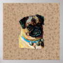 Search for pug picture posters Canine
