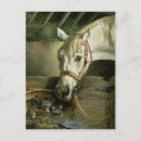 Search for reining postcards Reins