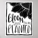 Search for black white sunflower art Minimalist