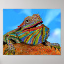 Search for bearded dragon art Beardie