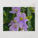 Search for periwinkle blue postcards Nature