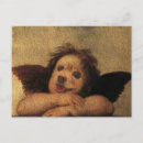 Search for alterative photography Dog