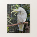 Search for big bird puzzles White