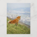 Search for down hill cards invites Outdoors