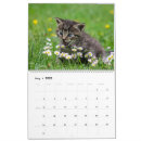 Search for cuddly office supplies Cute