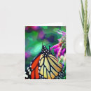 Search for butterfly art note cards Nature