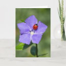 Search for fresh flowers birthday cards Beautiful