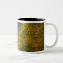 Search for virginia state mugs Autumn