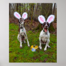 Search for chocolate bunnies posters Funny