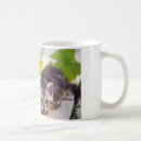 Search for awesome cat mugs Kitten
