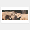 Search for elephants rectangle stickers Nature