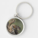 Search for st simons key rings Little st simon's island