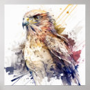 Search for falcons posters Animal