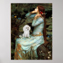 Search for white poodle posters Dogs