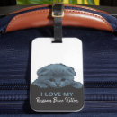 Search for kitty love accessories I love cats