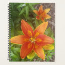 Search for daily planners Goals