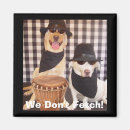 Search for fetch magnets Dog