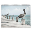 Search for photography calendars Ocean