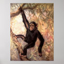Search for chimpanzee monkey posters Monkeys