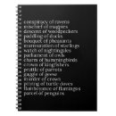 Search for nouns Black and white