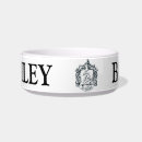 Search for slytherin gifts Snake