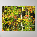 Search for fall colour art Brown