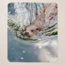 Search for cute seal blankets Nature