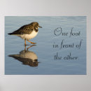 Search for sandpiper art Photography