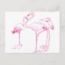 Search for vintage bird drawing postcards Animal