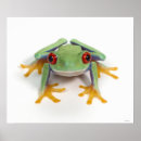 Search for frog posters Humour