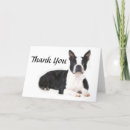 Search for boston terrier cards Puppy
