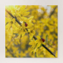 Search for ladybird puzzles Nature