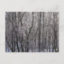 Search for freezing postcards Nature