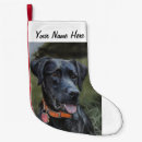 Search for black labrador christmas stockings Retriever