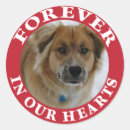 Search for dog life stickers Forever in our hearts