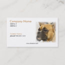 Search for boxer dog business cards Canine