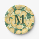 Search for country chic paper plates Modern