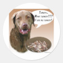 Search for chesapeake stickers Chessie