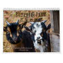 Search for goat office supplies Farms