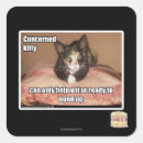 Search for concern stickers I can has cheezburger